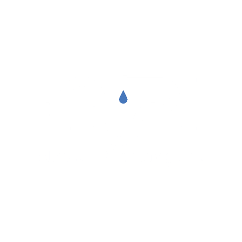 Alarcon Plumbing logo