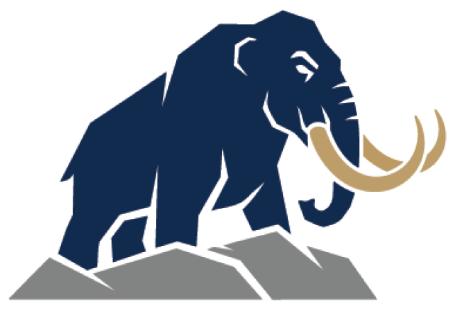 South Lake Stone Logo